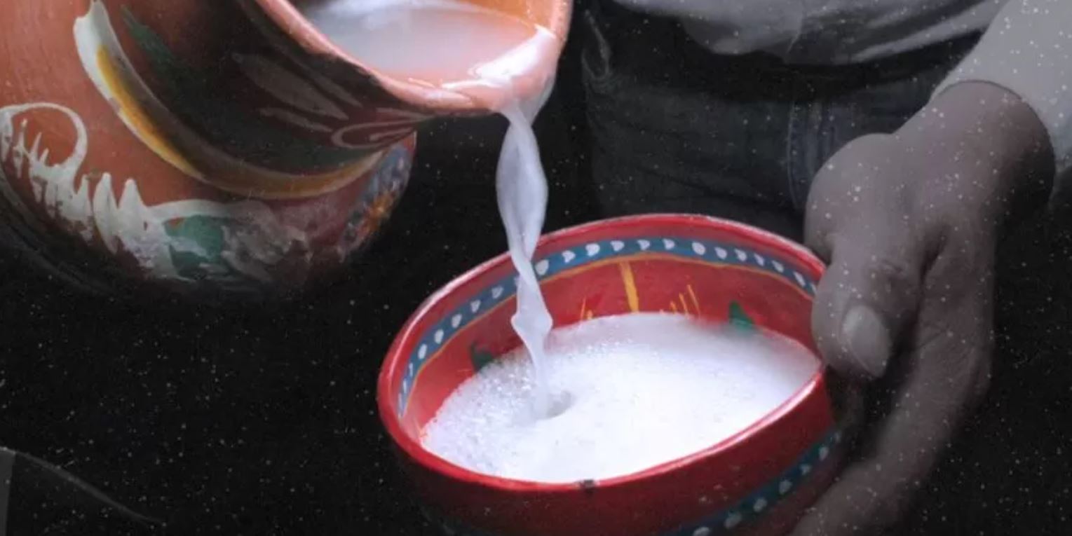 pulque tipos de bebida alcoholica