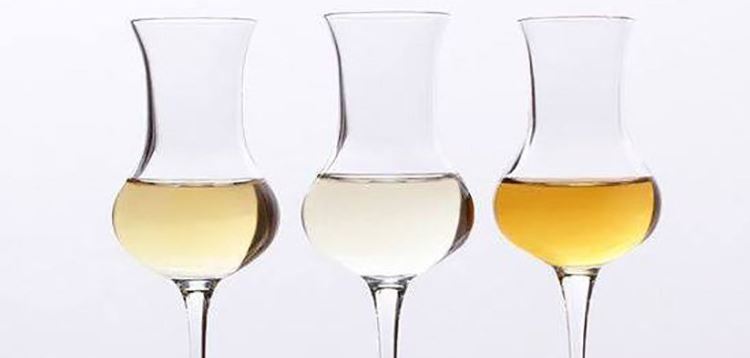 grappa. tipos de bebidas alcoholicas