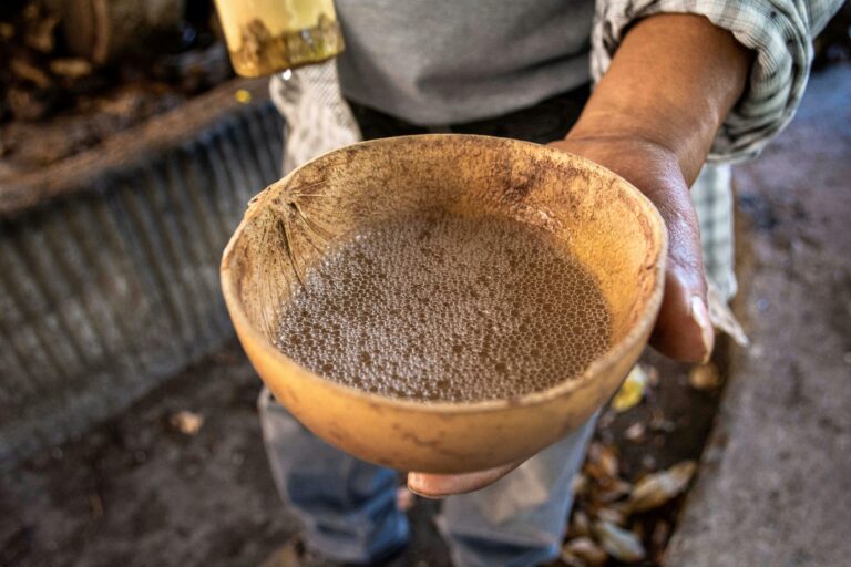 MEZCAL. TIPOS DE BEBIDAS ALCOHOLICAS