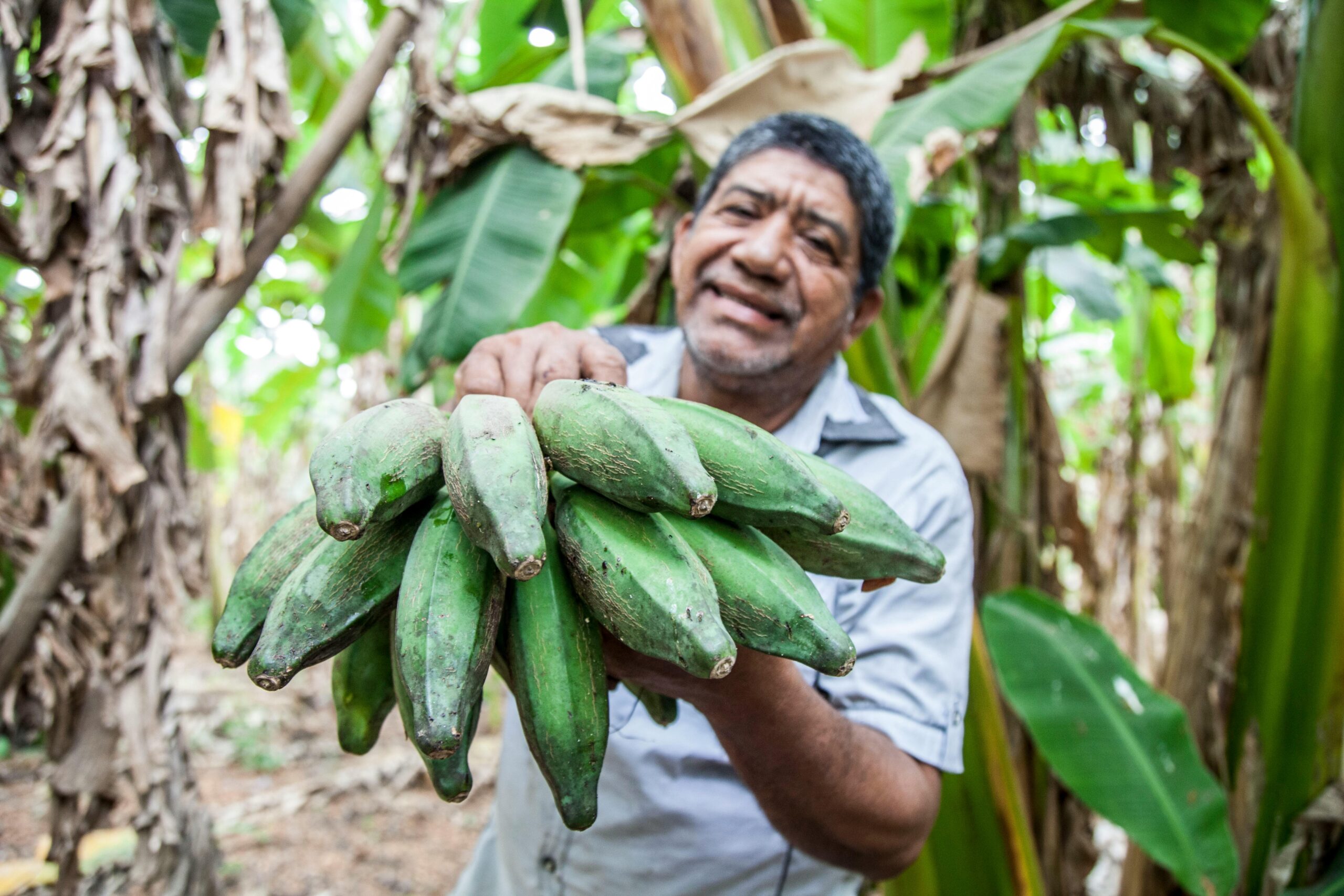 Bebidas alcohólicas típicas de Colombia: Un recorrido por su tradición y cultura